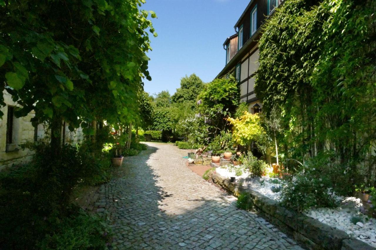 No.5 - Ferienwohnung Schkade Kleingiesshubel 외부 사진