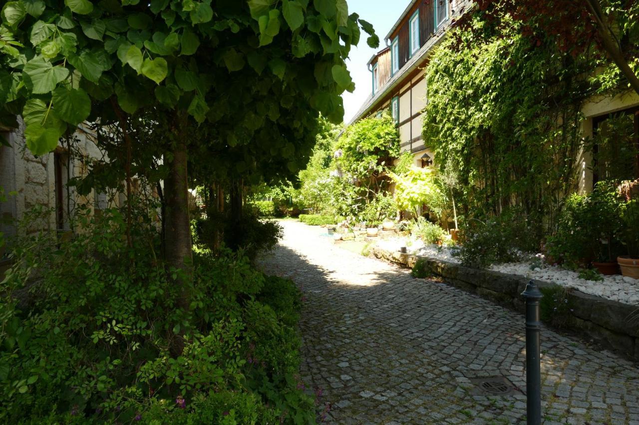 No.5 - Ferienwohnung Schkade Kleingiesshubel 외부 사진