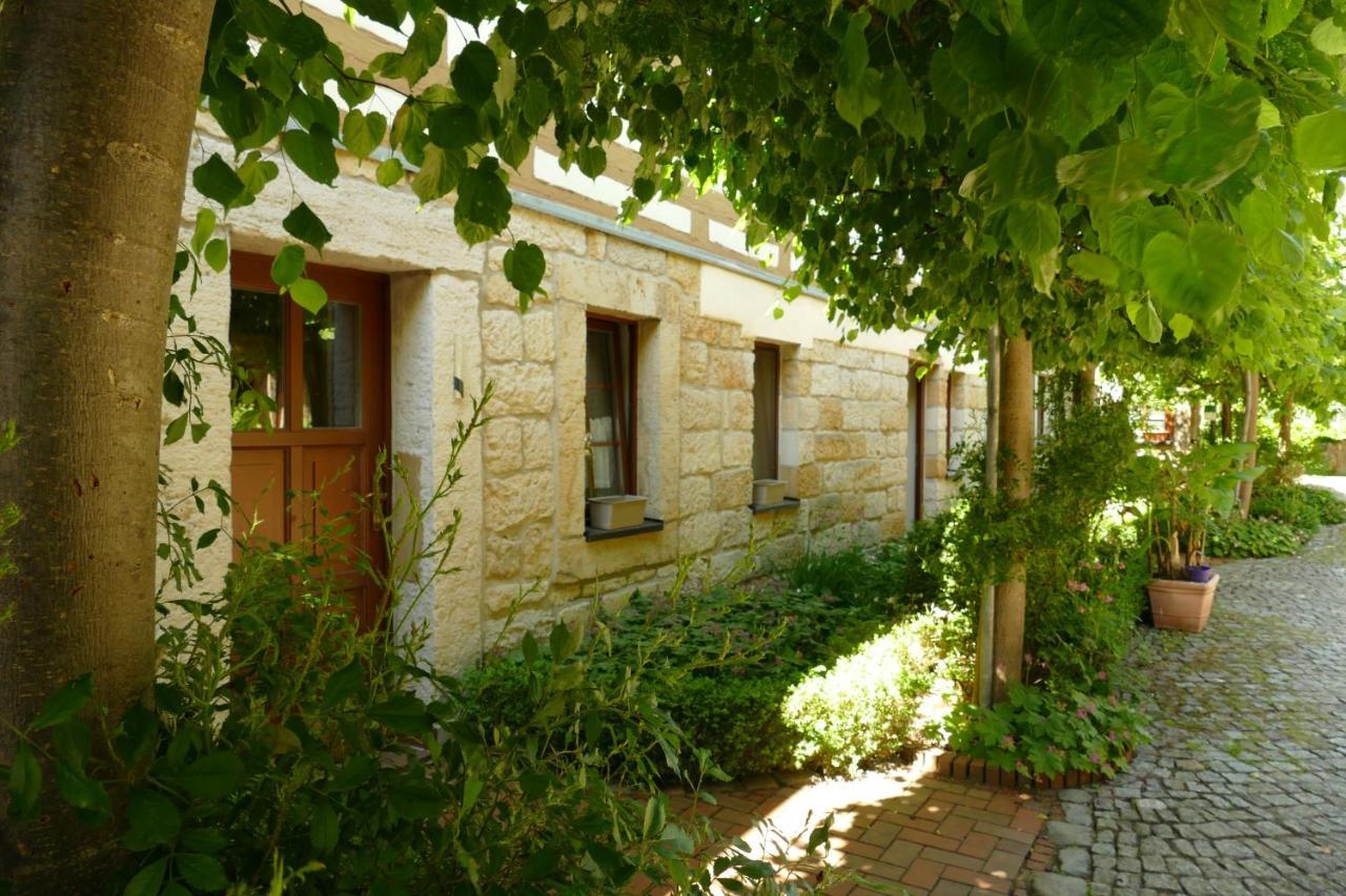 No.5 - Ferienwohnung Schkade Kleingiesshubel 외부 사진